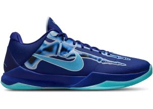 Kobe 5 Proton X-ray